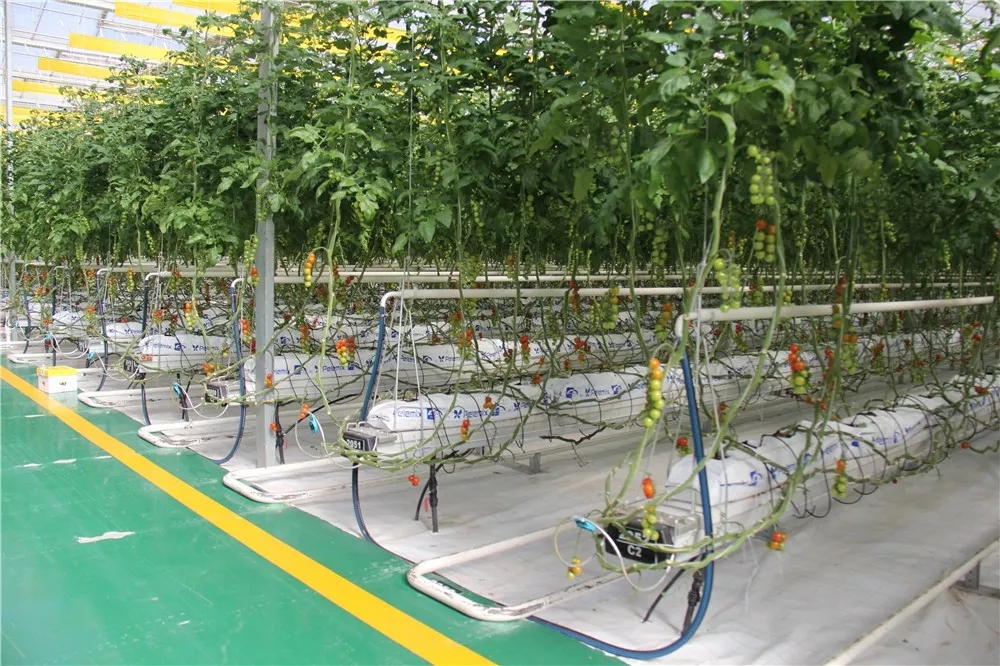 640.webp (13).jpg 640.webp (13).jpg