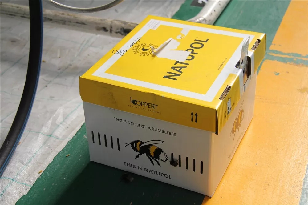 640.webp (14).jpg 640.webp (14).jpg